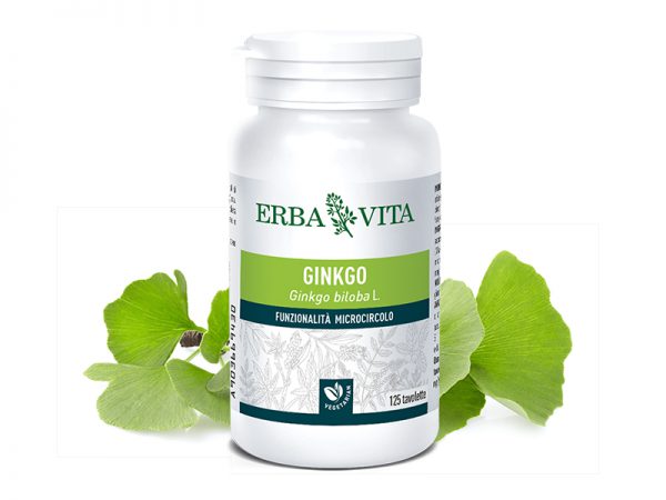 ErbaVita® Mikronizált Ginkgo biloba/Páfrányfenyő tabletta - Minden egyes tablettában 119 mg hatóanyagtartalom!