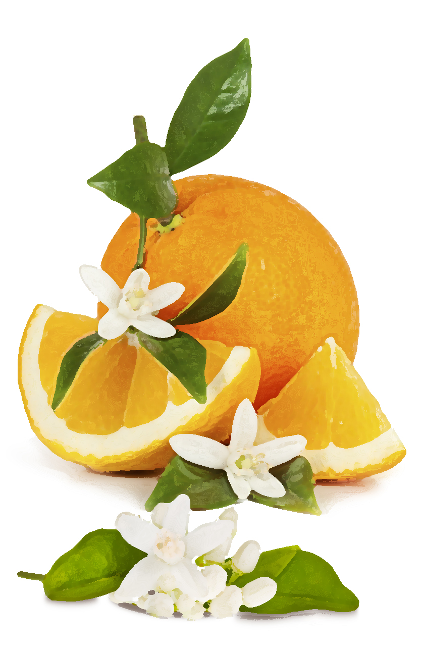 Érzéki csábítás narancsvirág testolaj, kényeztető aromaterápia